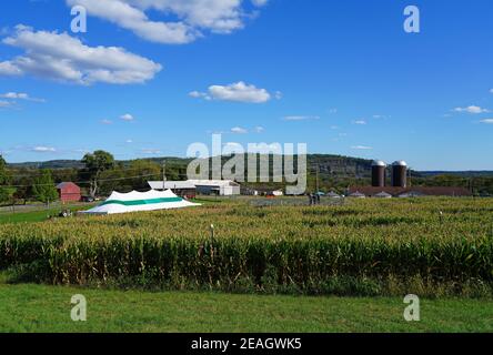 LAMBERTVILLE, NJ –3 Okt 2020- Blick auf das Howell Farm Corn Maze, das am längsten laufende Maislabyrinth in New Jersey im Herbst. Stockfoto