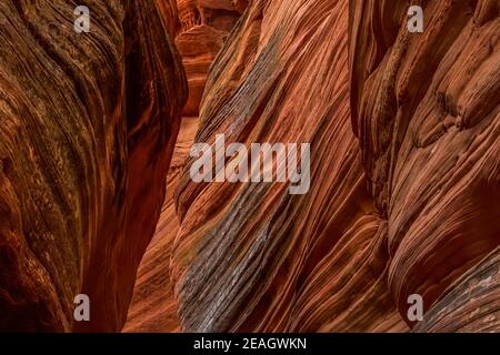 Der atemberaubend schöne schmale Slot Canyon, bekannt als Red Canyon, auch bekannt als Peek-a-Boo Canyon, in der Nähe von Kanab, Utah, USA Stockfoto