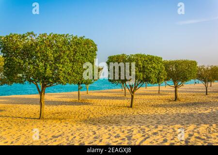 Blick auf einen Strand mit Obstgarten in der Stadt Kuwait. Stockfoto