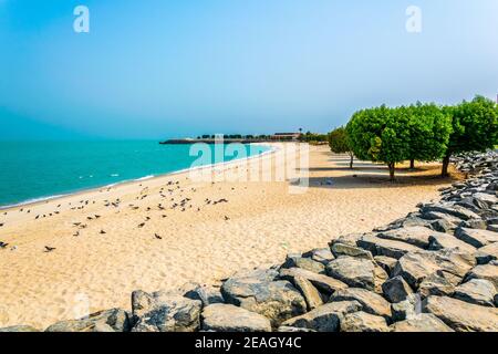 Blick auf einen Strand in der Stadt Kuwait. Stockfoto