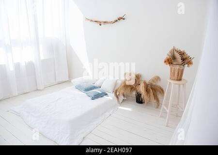 Minimalistisches weißes Loft im skandinavischen Stil. Es gibt Bett auf Holzboden, helle luftige Tüll an den Fenstern, es gibt Pampas Gras in Vasen Stockfoto