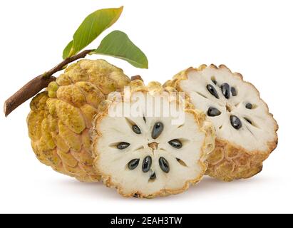 Annona oder Custard Apfelfrucht isoliert auf weißem Hintergrund Stockfoto