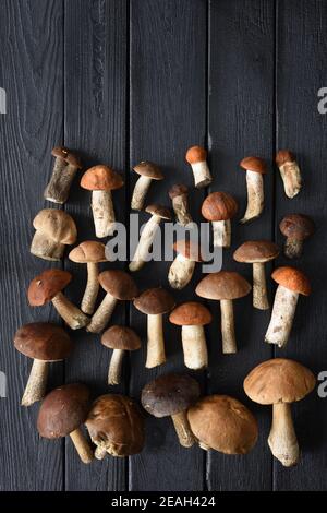 Stillleben im Herbst. Flatlay von wilden Steinpilzen auf schwarz gebranntem Holz Hintergrund Copyspace Stockfoto