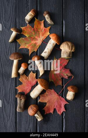 Herbst Stillleben Flatlay. Rote Ahornblätter und wilde Steinpilze auf schwarz gebranntem Holz Hintergrund Stockfoto