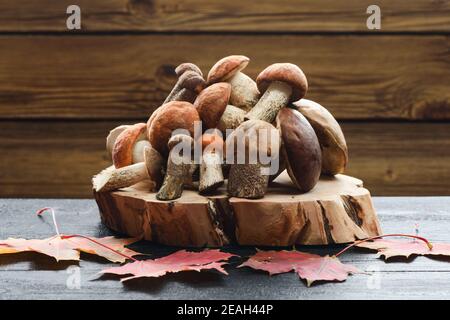 Stillleben im Herbst. Waldpilze. Haufen Steinpilze auf Holzplatte auf dunklem Hintergrund Copyspace Stockfoto