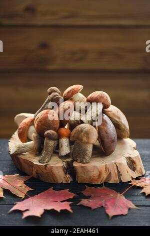 Stillleben im Herbst. Essbare Wildpilze. Haufen Steinpilze auf Holzplatte auf dunklem Hintergrund Copyspace Stockfoto