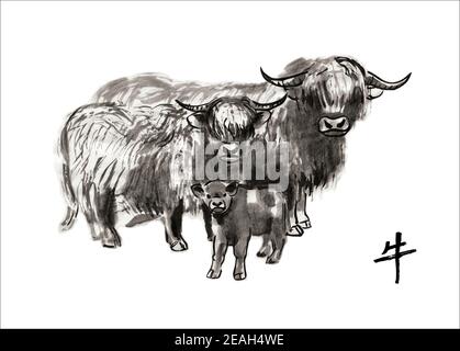 Familie der Hochlandrinder: Stier, Kuh und Kalb, Vektor-Sumi-e-Illustration. Orientalische Tinte waschen Malerei . Symbol für das östliche Neujahr des Ochsen. Stock Vektor