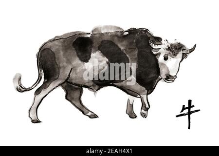 Walking Bull, Vektor-Sumi-e-Illustration. Orientalische Tinte waschen Malerei . Symbol für das östliche Neujahr des Ochsen. Stock Vektor