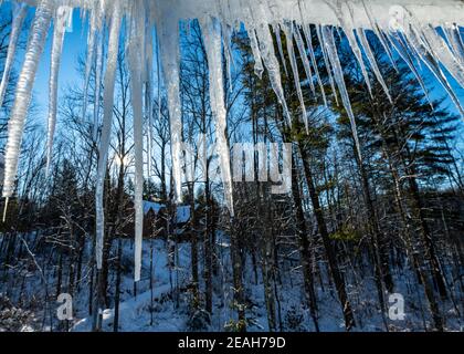Connecticut, USA, 8. Februar 2021 - Eiskellen, die an einem verschneiten Wintertag gegen die aufgehende Sonne vom Dach eines Hauses hängen. Kredit: Enrique Shore/ Stockfoto