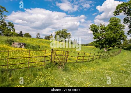 Wallingford Castle Meadows, (Gelände von Wallingford Castle) Wallingford, Oxfordshire, South East England, GB, Großbritannien Stockfoto