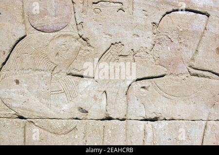 Der Falke leitete gott, der eine heilige ankh zum Gesicht eines alten ägyptischen Pharao hielt. Tempel von Horus, Edfu, Ägypten. Stockfoto