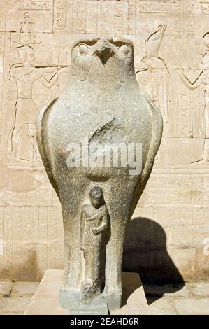 Alte ägyptische Granitstatue des Falken-vorangegangen gottes Horus, der den Pharao schützt. Tempel von Horus, Edfu, Ägypten. Stockfoto