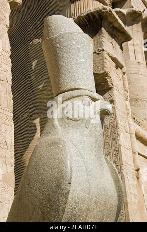 Alte ägyptische Statue des Falken, der Gott Horus, der die Krone des Pharaos trägt, Tempel von Horus, Edfu, Ägypten. Stockfoto