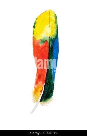Bunte Feder Aquarell Illustration isoliert auf weißem Hintergrund Stockfoto