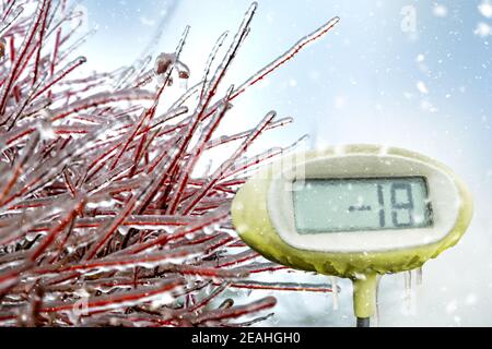 In Eis eingehüllte Äste mit einem Thermometer von minus 18 Grad. Eisiger Regen auf Baumzweig und Thermometer Stockfoto