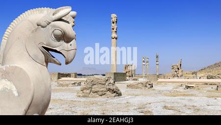 Steinskulptur von griffin und Säulen des Apadana-Palastes, erbaut von Darius dem großen, Persepolis, Iran. UNESCO-Weltkulturerbe Stockfoto