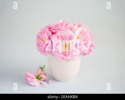 Bouquet von blass rosa Rosen in weißer Keramik-Vase vor hellgrauem Hintergrund. Teerosen. Geringe Schärfentiefe. Selektiver Fokus. Stockfoto