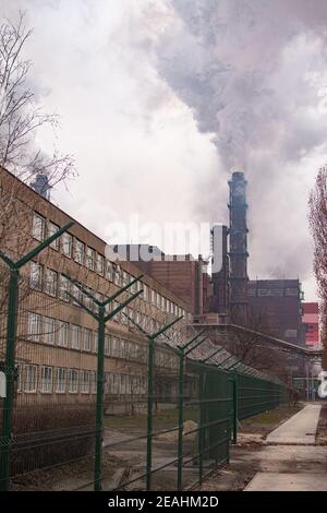 Rauchentwicklung von Werksrohren. vertikales foto. Stockfoto