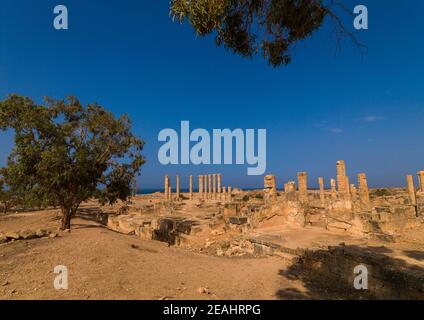 Villa der Säulen, Cyrenaica, Ptolemais, Libyen Stockfoto