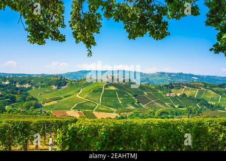 Langhe Weinberge, Castiglione Falletto Dorf und Äste als Rahmen. Unesco-Stätte, Piemont, Norditalien, Europa. Stockfoto