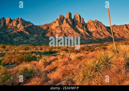 Kaninchenohren in Organ Mountains Desert Peaks National Monument bei Sonnenaufgang, Aguirre Springs Gegend, in der Nähe von Las Cruces, New Mexico, USA Stockfoto