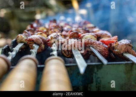 Spieße ungekocht in der Natur auf Spieße im Freien. Shashlyk Stockfoto