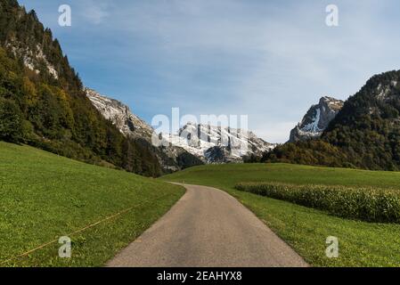 Straße durch Weideland mit Blick auf die Saentis, Wildhaus-Alt St.Johann, Toggenburg, Kanton St. Gallen, Schweiz Stockfoto