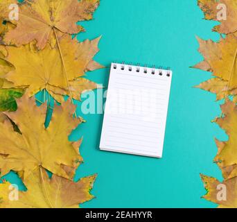 Öffnen Sie das Notizbuch in Übereinstimmung mit weißen leeren Seiten auf einem Grüner Hintergrund Stockfoto