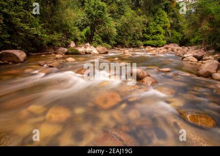 Zeitlupe Wasserfluss im Erholungswaldgebiet Sungai Sedim Stockfoto