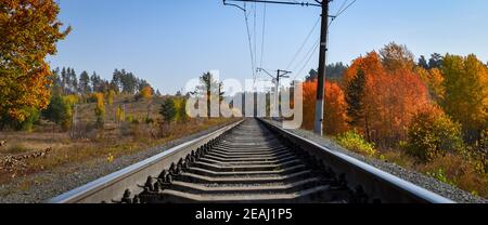 Die Bahn führt durch einen schönen Herbstwald mit bunten Bäumen. Stockfoto