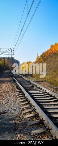 Die Bahn führt durch einen schönen Herbstwald mit bunten Bäumen. Stockfoto