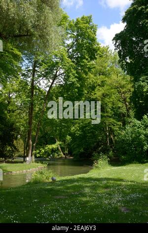 Graugänse im Englischen Garten von München Stockfoto