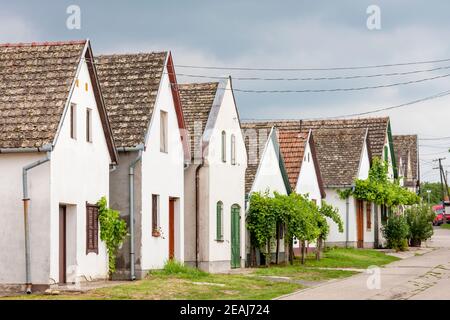 Weinstraße in Hajos, Kalocsa County, Südliche Tiefebene, Ungarn Stockfoto