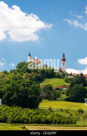 Stadt Straden und Weinberge in der Steiermark, Österreich Stockfoto