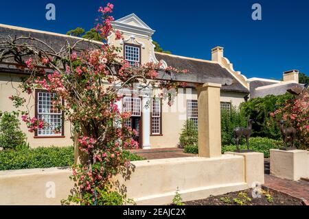 Somerset West, Südafrika - Januar 30. 2020 : das Weingut Vergelegen befindet sich in Somerset West in Südafrika. Ein Bistro und ein Restaurant sind ebenfalls vorhanden Stockfoto