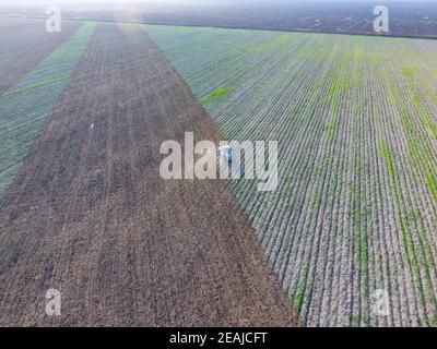 Draufsicht auf den Traktor, der das Feld pflügt. Bodenbearbeitung nach der Ernte Stockfoto