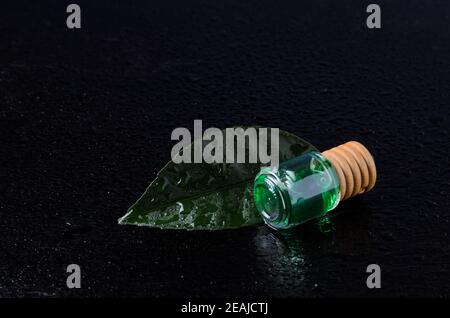 Zitronengeschmack von smaragdgrünen Farbe in einer Glasflasche mit einem Holzstopfen auf einem grünen Blatt mit Wassertröpfchen. Die dunkle Taste. Stockfoto