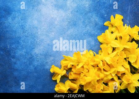 Bouquet von gelben Narzissen oder Narzissen auf hellblauem Hintergrund. Flach liegend, Platz für Text kopieren Stockfoto