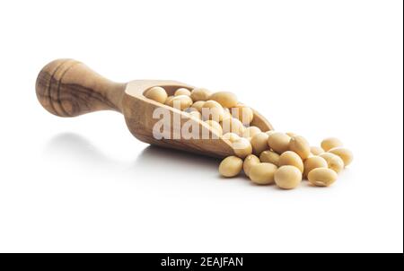 Getrocknete Sojabohnen in Holzlöffel isoliert auf weißem Hintergrund. Stockfoto