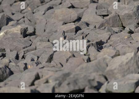 Warm beleuchtet abstrakten Stein Boulder Hintergrund. Scharfe Kanten und im Freien Stockfoto