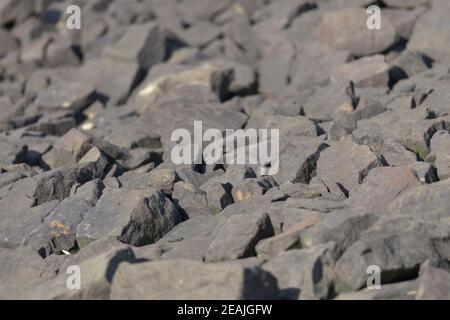 2 - Abstract Vollformat scharfen Stein Boulder Hintergrund Textur, goldene Stunde Stockfoto