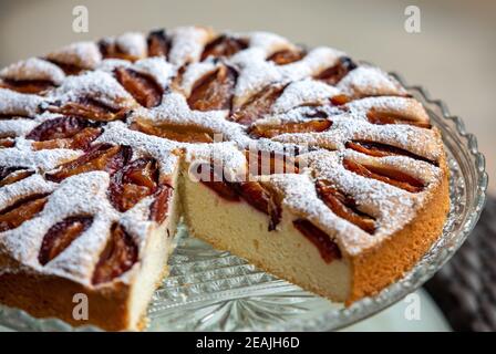 Köstliche Pflaumenkuchen mit Puderzucker bestreut Stockfoto