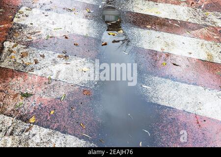 Schlammiger Regen Pfütze auf Feuerstraße Oberflächenmarkierung Stockfoto