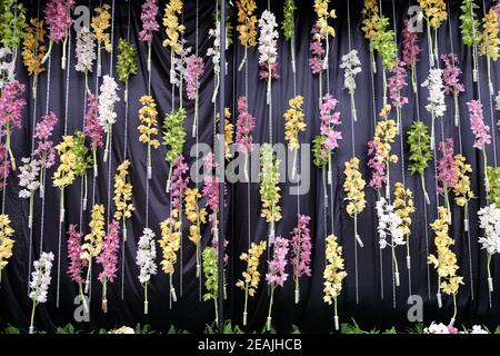 Blumen auf Floraart ausgestellt, 50 internationale Gartenausstellung in Zagreb, Kroatien Stockfoto