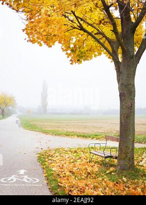 Rastplatz mit Parkbank an Herbststraße im Burgenland Stockfoto