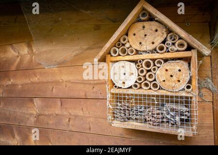 Insekt und Bienen Hotel und Unterstand auf Holzwand montiert