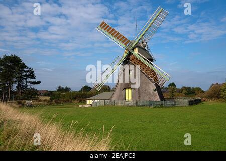 Windmühle, Nebel, Amrum, Deutschland Stockfoto