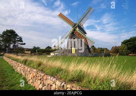 Windmühle, Nebel, Amrum, Deutschland Stockfoto