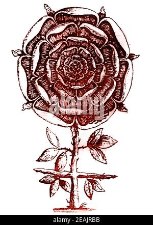 ROSENKREUZ / ROSENKREUZ - EINE symbolische Beschreibung des Rosenkreuzes aus dem 17th. Jahrhundert, die eine Rose auf einem dornigen Kreuz enthält.- die Symbolik ist weit verbreitet in Magie, Mystik, Gnostizismus, Alchemie, Religion und natürlich im Rosenkreuzer Orden. Stockfoto