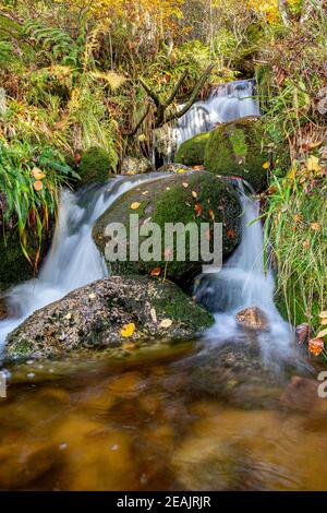 Bach auf dem Menzenschwander GeiÃŸenpfad Stockfoto